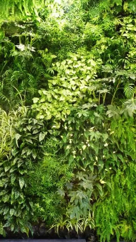 Best Premium Quality Vertical Garden Manufacturer, Trader, Dealer, Supplier
We Panipat Carpets is t...