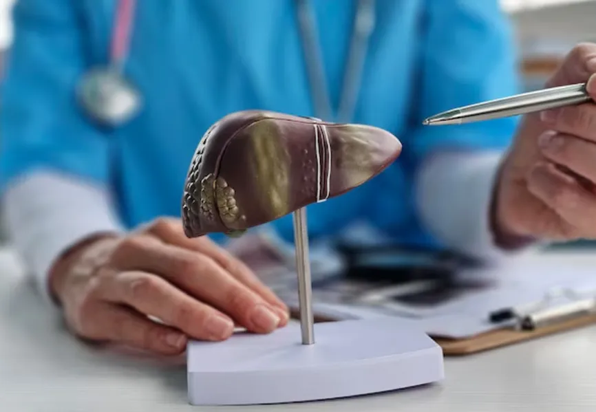 Non-Invasive Liver Disease Diagnosis Mumbai – Modern Testing Without Surgery