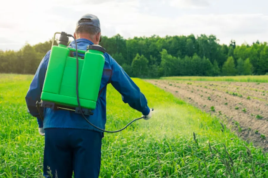 Knapsack Sprayers in Bangalore | Crop Protection Tools