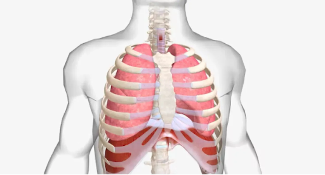 Thoracic Surgeon in Pune | Specialized Lung and Chest Disorder Management