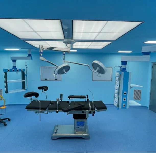 Antibacterial and Antifungal Paint Manufacturer – Protecting Hospital Interiors