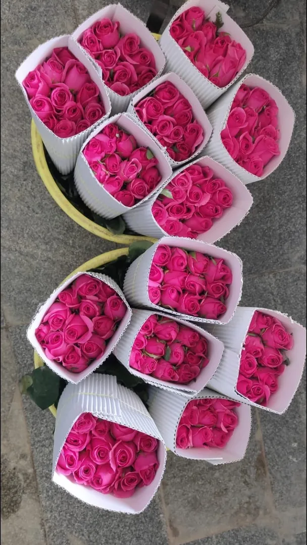 Rose Flowers in Bangalore for Timeless Elegance