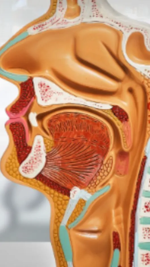 Parotid and Salivary Gland Surgery in Nashik – Safe Treatment for Gland Disorders