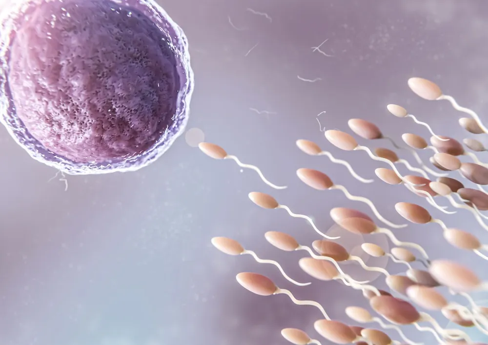 Comprehensive Evaluation by an Experienced Male Infertility Specialist in Nashik