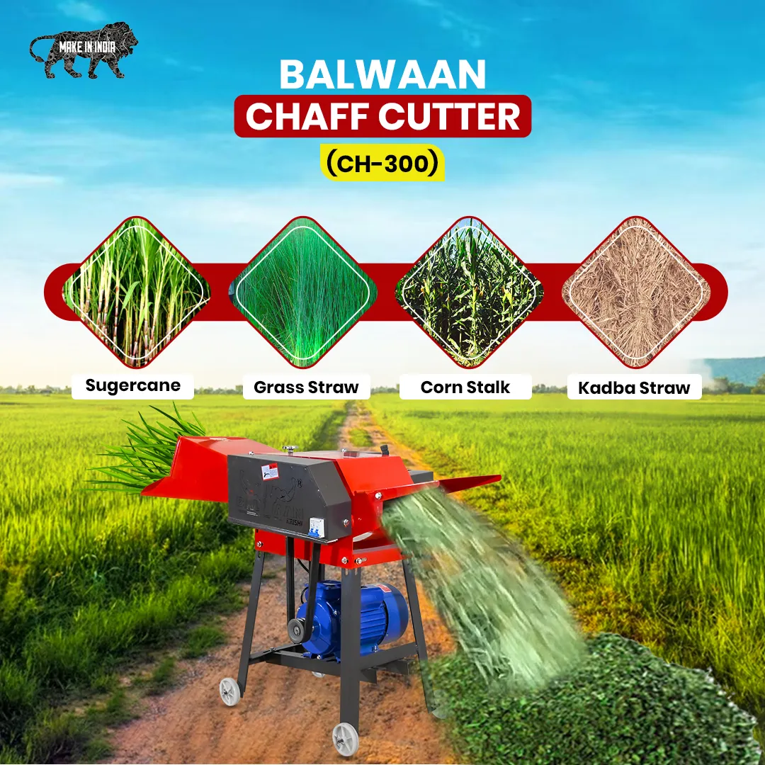 Chaff Cutter Machine Vadodara