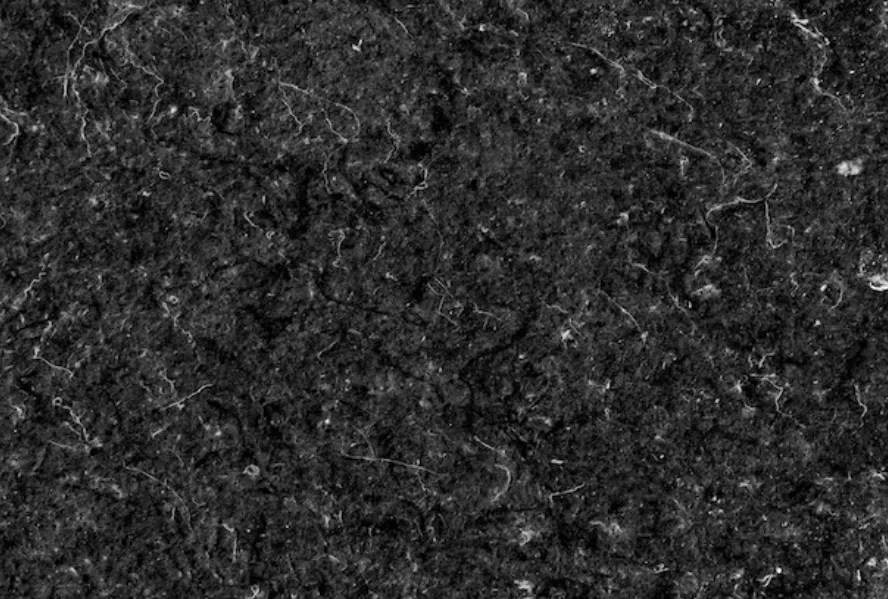 Leading Granite Dealers in Wakad for Residential and Commercial Projects – Durable Stone for Modern