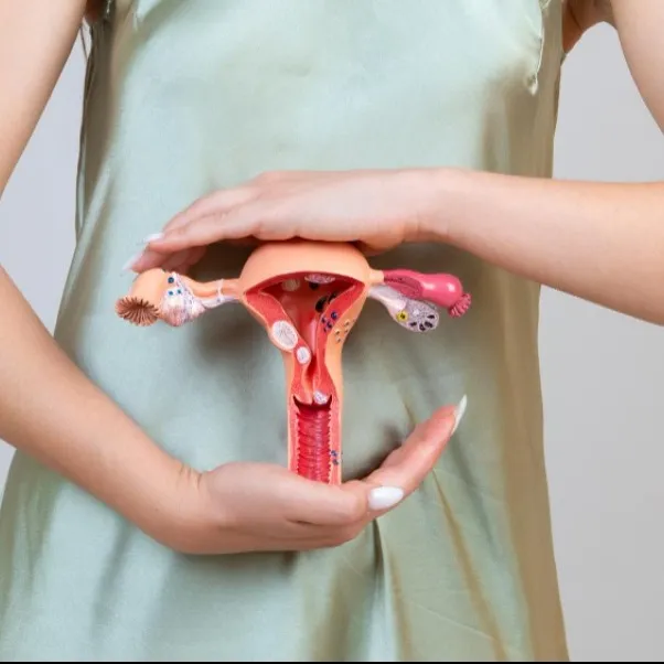 Expert Management of Hormonal Imbalance and Irregular Uterine Bleeding in Byculla