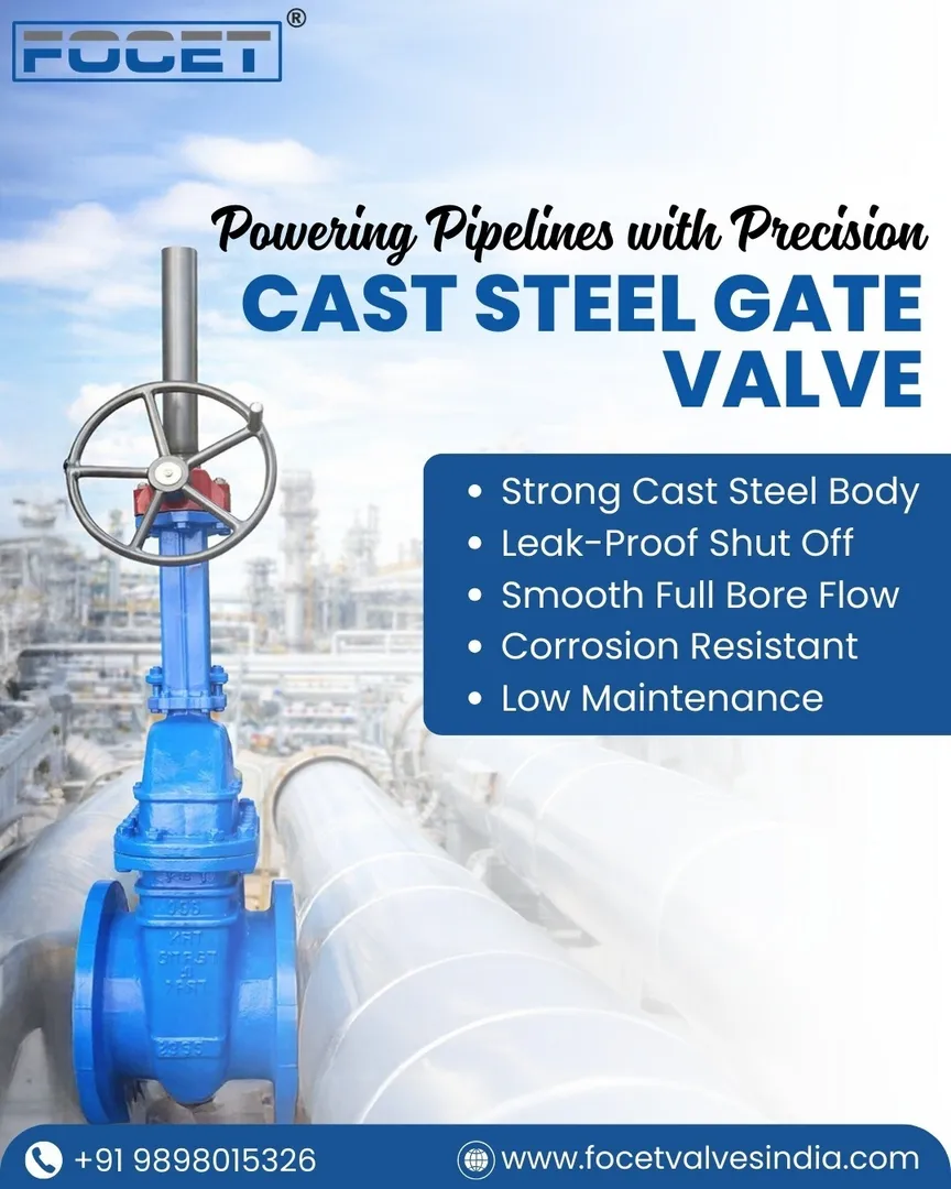 Cast Steel Gate Valve Manufacturer in India