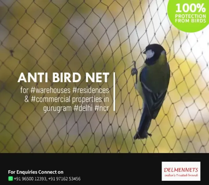 Anti Bird Net Supplier in Gurgaon – Practical Protection for Open Spaces
