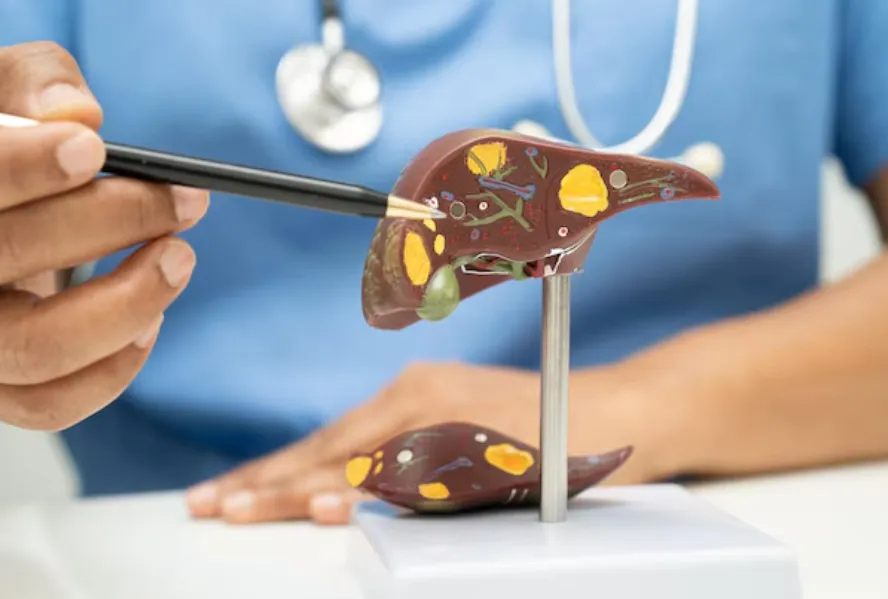 Top Liver Transplant Specialist in India – Comprehensive Evaluation from Mumbai