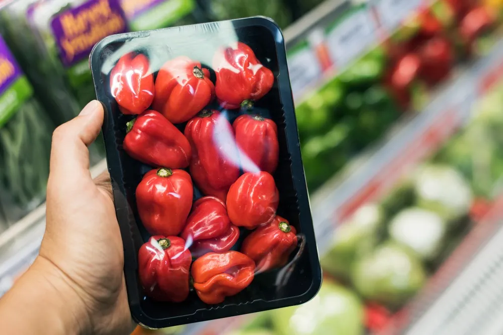 Food Packaging Manufacturer in Nagpur