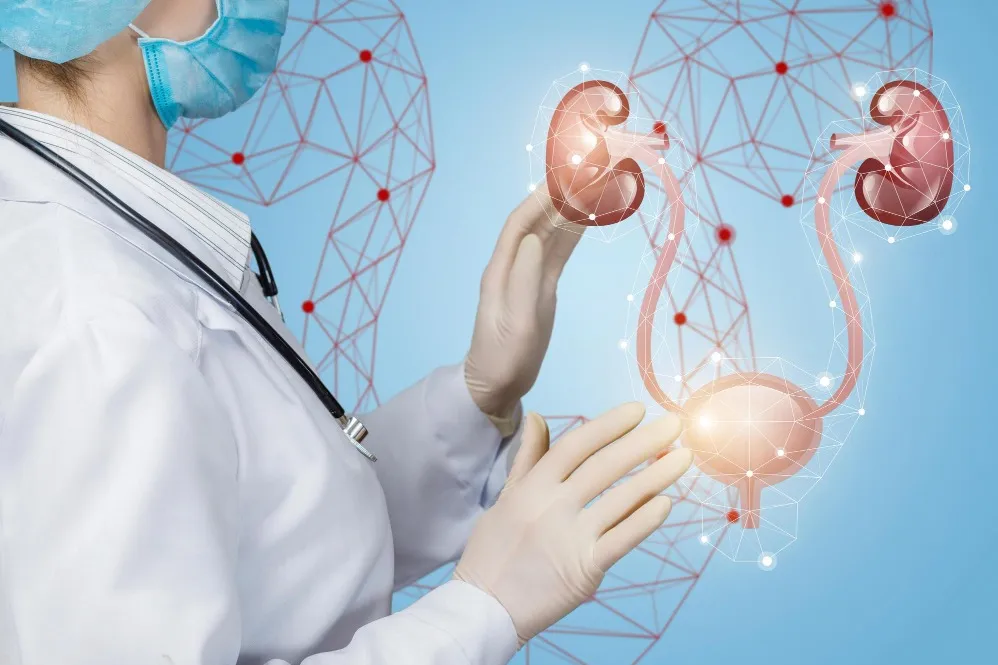 Urology Treatments in Pimpri-Chinchwad – Advanced Care for Urinary Health