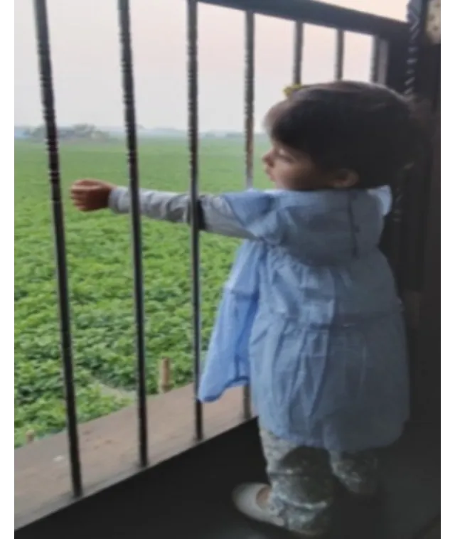 Child Safety Grill in Nagpur Safe Spaces for Growing Families
