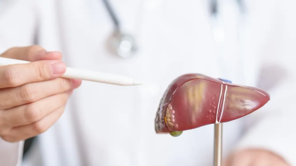Fibro Scan Liver Testing in Mumbai A Comfortable Way to Assess Liver Health