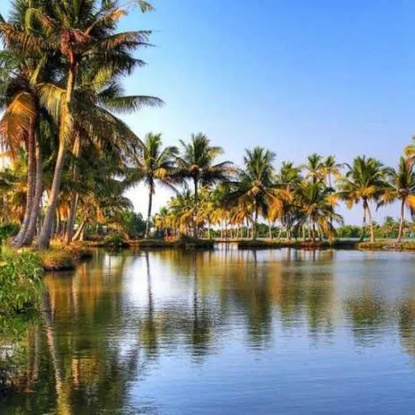 Tourist Places in Kerala
Kumbalangi
Kumbalangi Tourism
Kumbalangi is India’s first model ecotour...