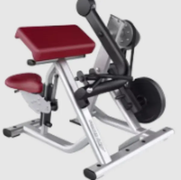 Gym Plate Tree Stand in Nagpur – Efficient Weight Organization