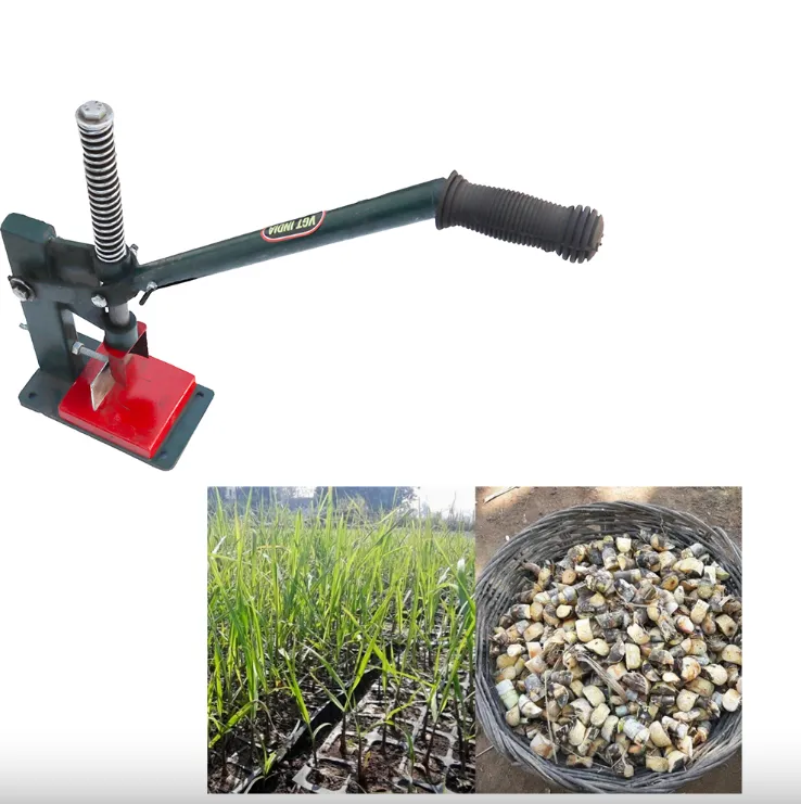 Sugarcane Bud Chipper Manufacturer