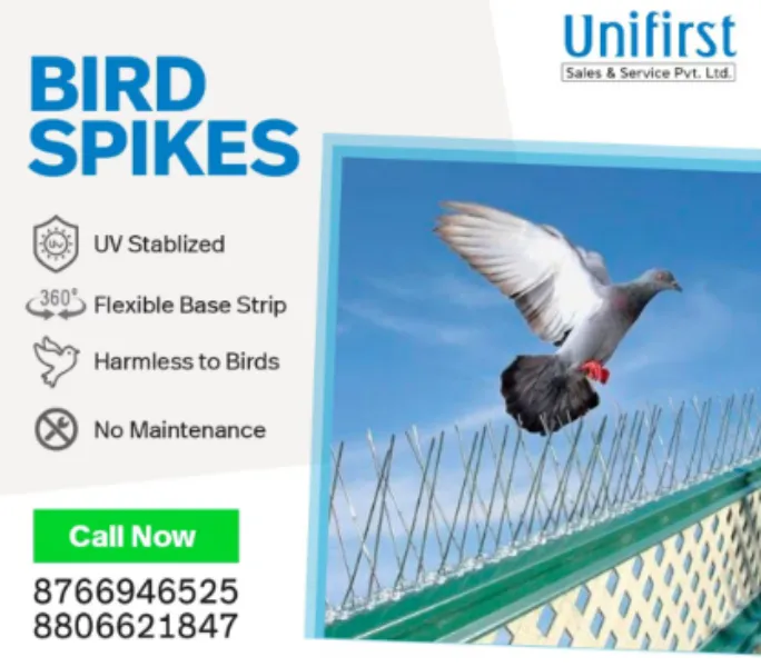 Bird Spikes in Nagpur Smart Protection for Problem Areas