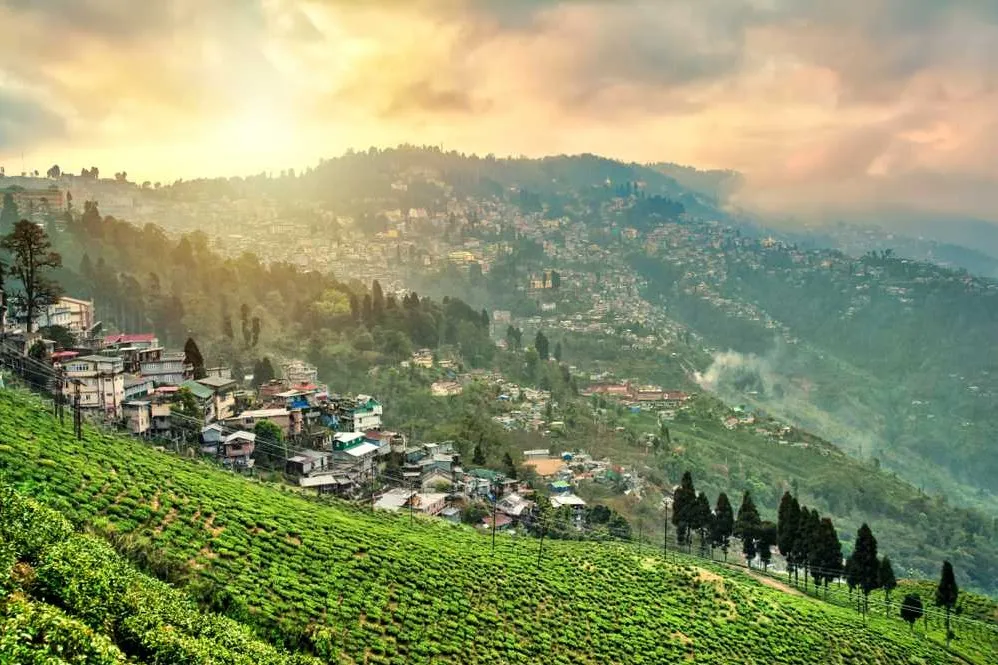 Places To Visit In Darjeeling
Lamahatta Eco Park
Lamahatta Eco Park, Darjeeling Overview
Lamahatt...