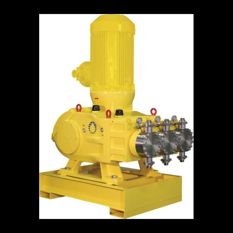 High Flow, High Pressure Process Pump | Megaroyal Series