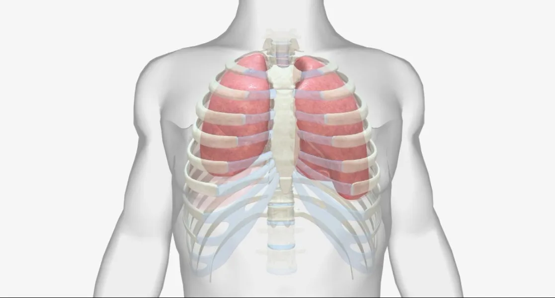 Thoracic Chest Surgery in Pune for Lung and Chest Conditions