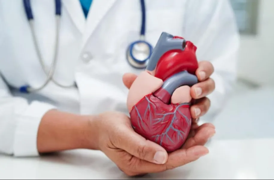 Cardiologist in Pune - Your Heart Health Matters