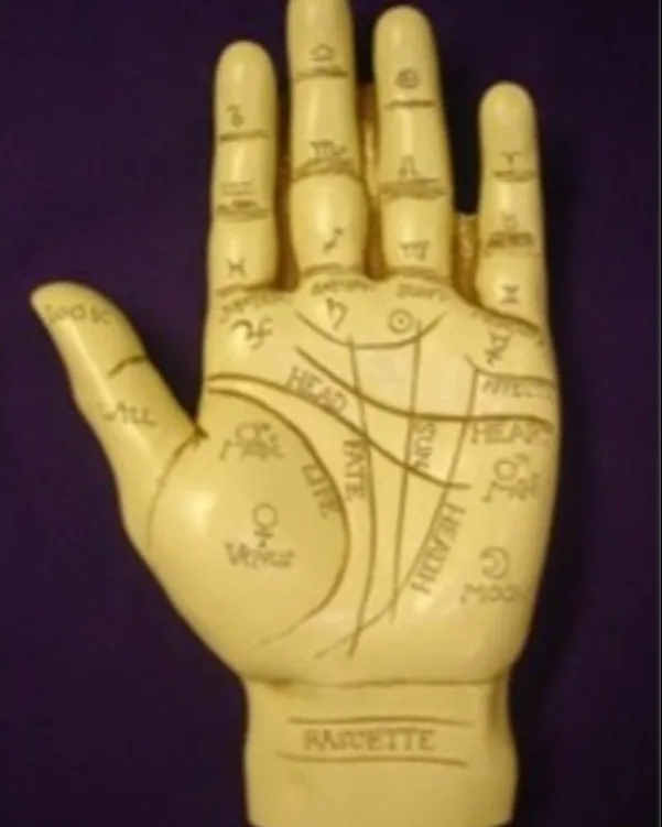 Hand Reading Palmistry Astrologer in Mumbai Discovering Life Clues Through Palm Lines