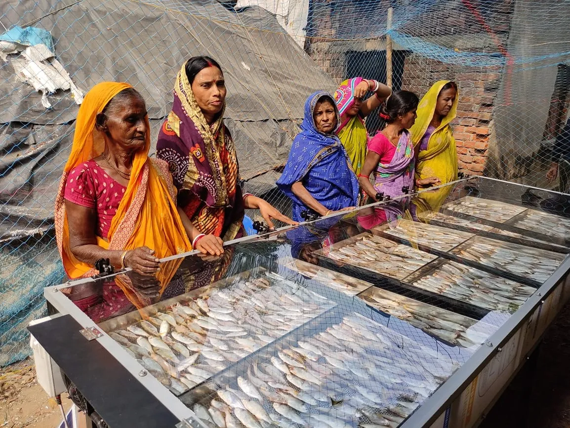 Solar Dryer In Odhisha