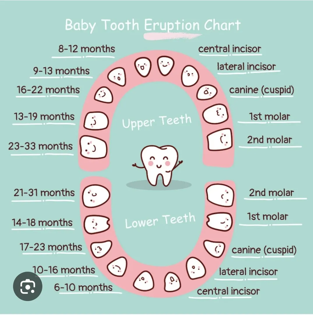 best dentist doctor in wadgaon sheri