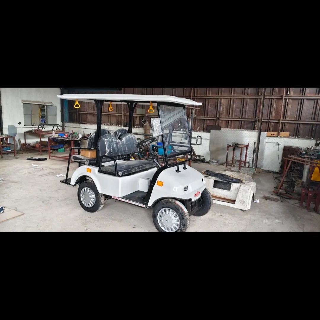 2 Seater Electric Golf Cart Manufacturer in Pune / Mumbai / Nagpur / Kolhapur / Nashik / Goa