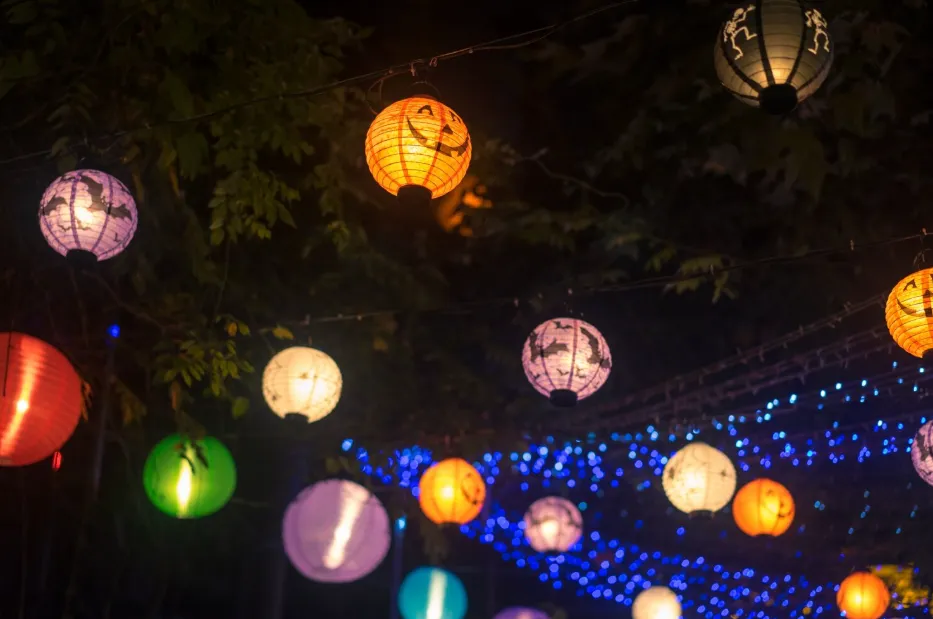 Landscape Lighting Fixture Supply Pune Enhancing Outdoor Design