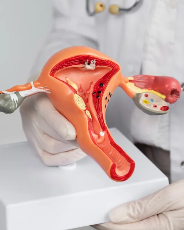 Minimally invasive gynecologic surgery in Chinchpokli Less Pain, Faster Recovery, Better Confidence