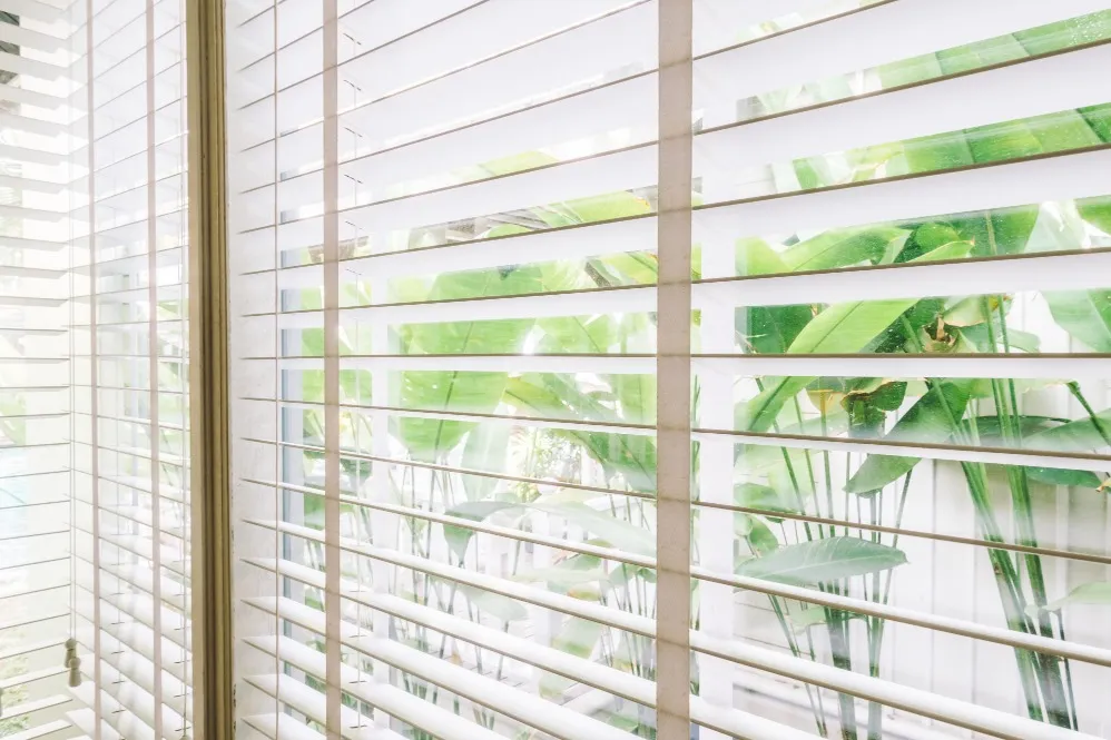 Blinds in Gurugram: The Perfect Blend of Privacy and Style