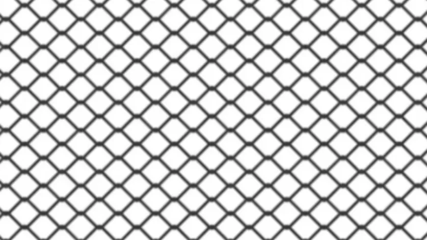 Holding Mesh in Nagpur Practical Protection for Everyday Living