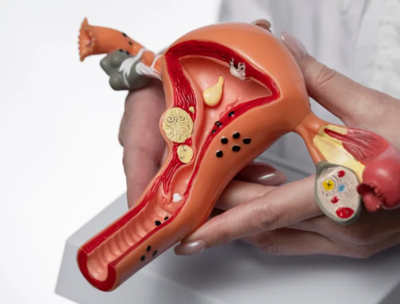 Advanced Gynaecology Services in Pune – Modern Solutions for Women’s Health