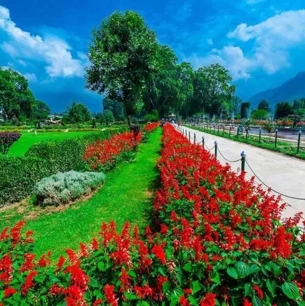Tourist Places in Jammu & Kashmir
Nishat Bagh
Nishat Bagh, Srinagar Overview
The Nishat Bagh is a...