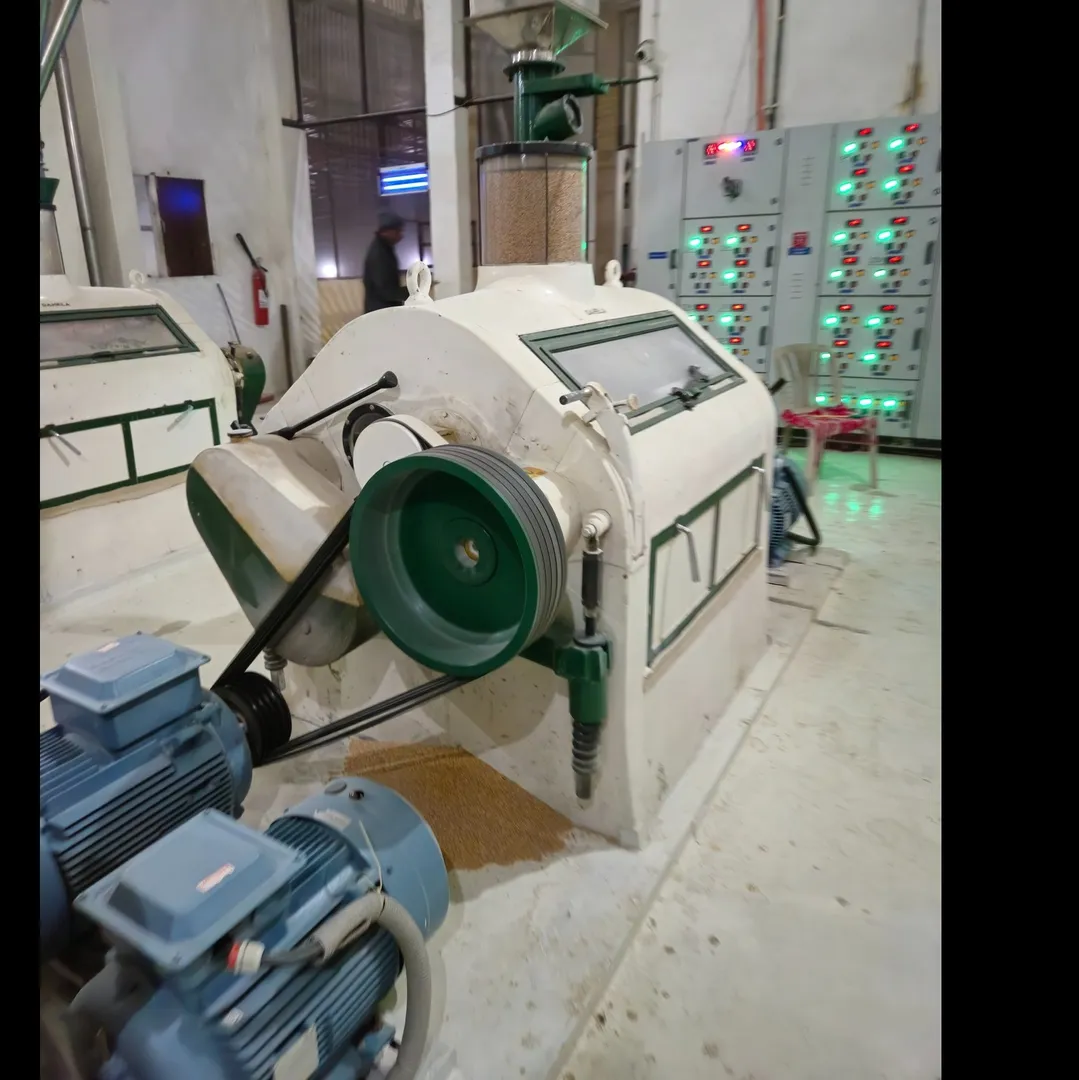 Roller Flour Mill manufacturer in noida