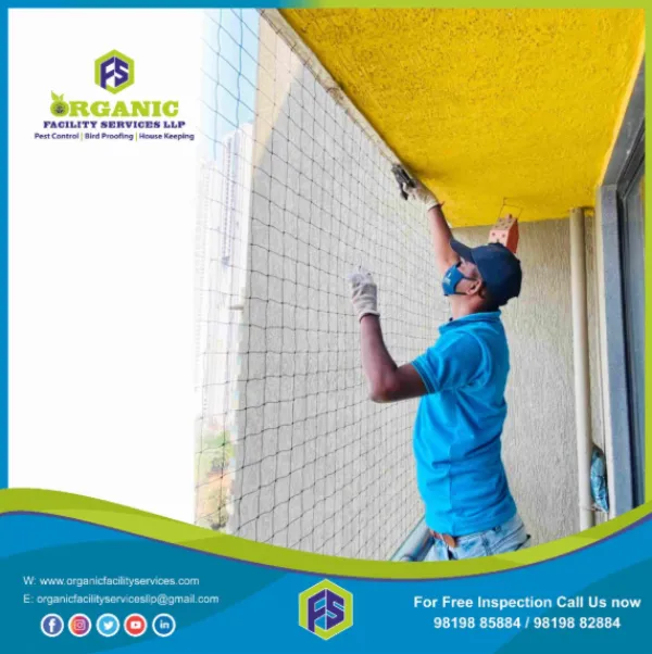 Annual Pest Control Service Cost in Mumbai – Planning Smarter for Long-Term Protection