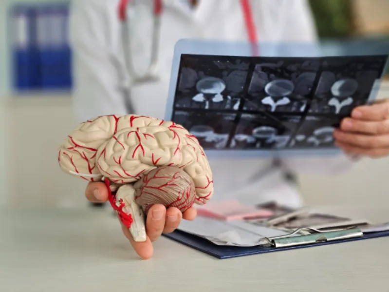 Neurology Treatments in Pimpri-Chinchwad | Brain and Nerve Care Update