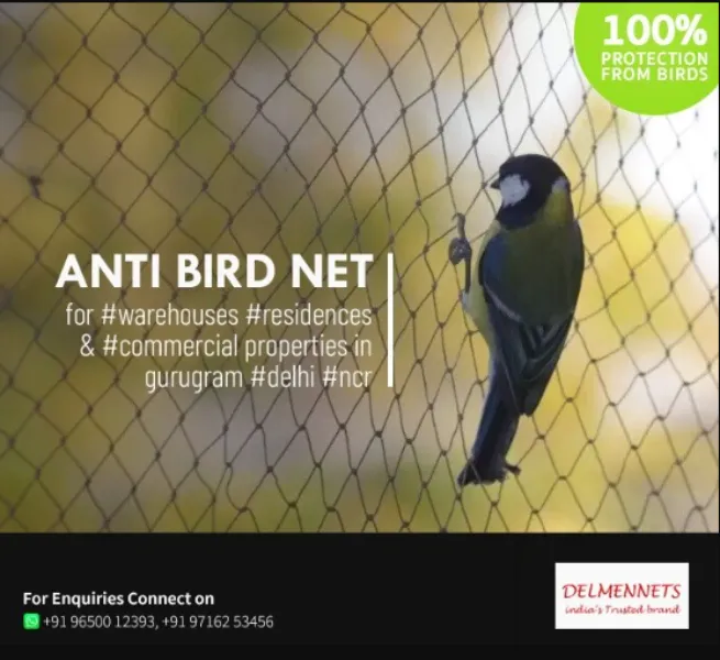 Anti Bird Net Manufacturer In Gurgaon - A Cleaner Way To Protect Open Spaces