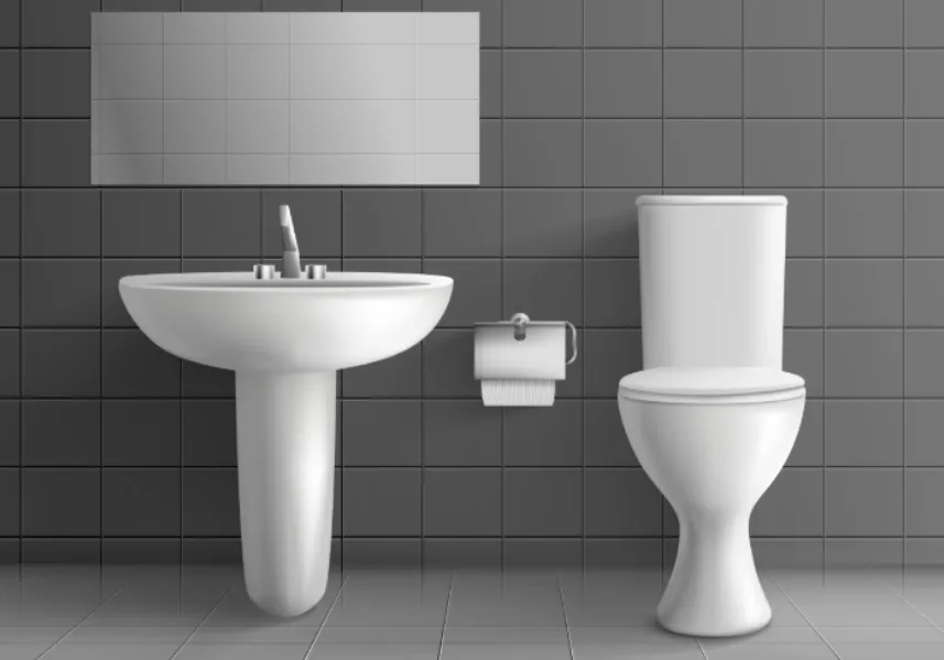 Sanitaryware Dealers in Pune Completing the Bathroom Experience