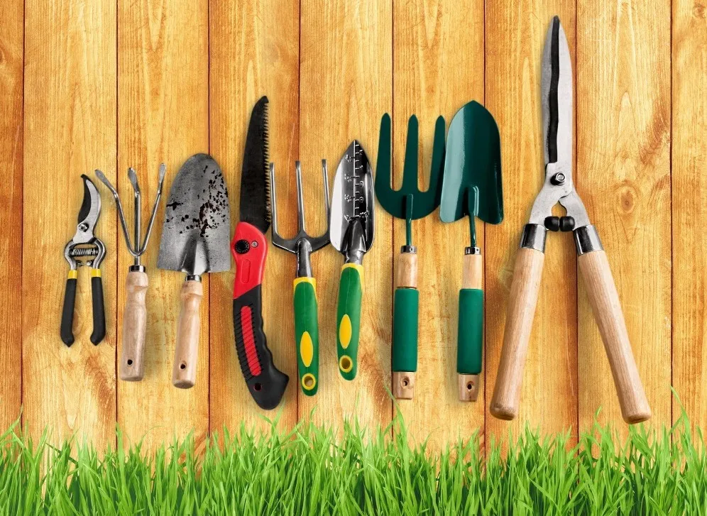 Gardening Tools in Ghaziabad – Building Better Green Spaces, One Tool at a Time