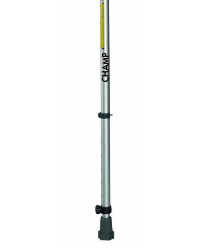 Walking Stick Single Available in Kalwa West