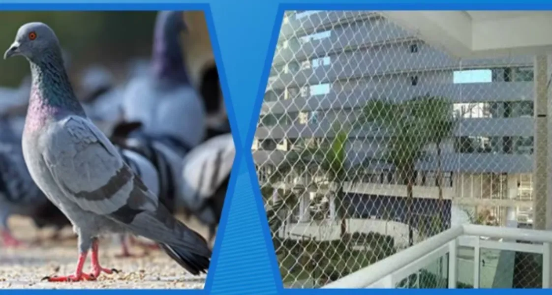 Pigeon Net Supplier In Gurgaon - Simple Protection For Everyday Cleanliness