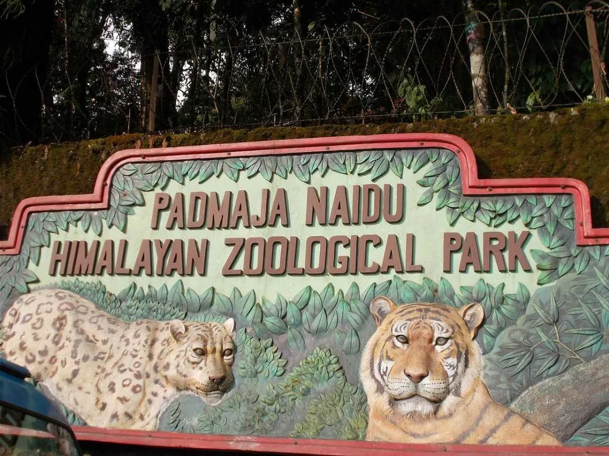 Places To Visit In Darjeeling
Padmaja Naidu Himalayan Zoological Park
Padmaja Naidu Himalayan Zool...