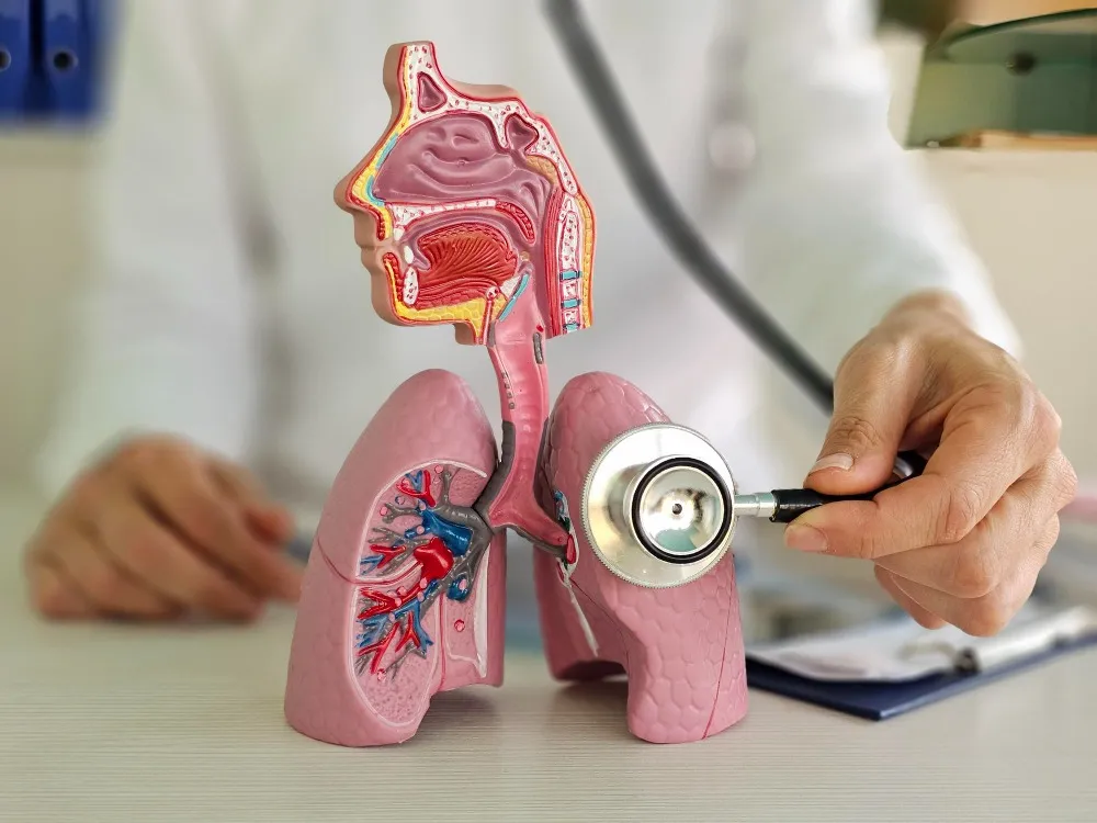 Bronchoscopy in Jaipur Advanced Diagnostic Procedure for Lung Diseases