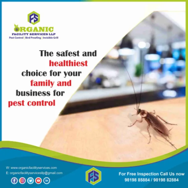 General Pest Control Service Near Me in Mumbai – Everyday Protection for Homes and Offices
