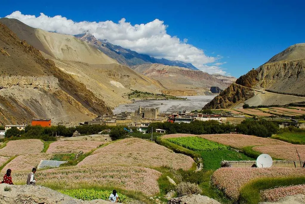 Places To Visit in Nepal
Mustang
Mustang Tourism
Mustang is known for its trekking tours and mou...