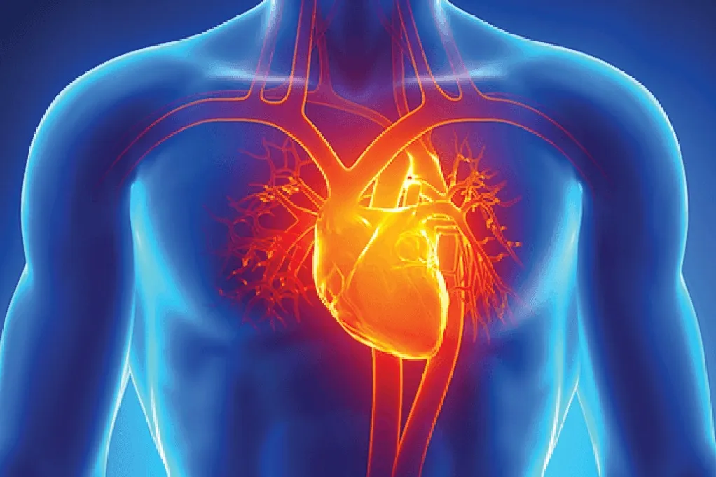 Best Hospitals for Angiography in Shivane & Nearby Localities Platinum Multispeciality Hospital 4.9•...