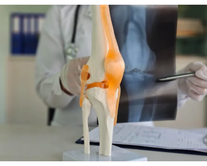 Top Orthopedic Clinic in Mukherjee Nagar
